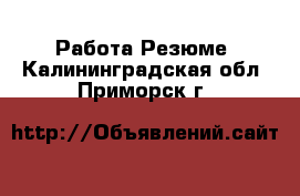 Работа Резюме. Калининградская обл.,Приморск г.